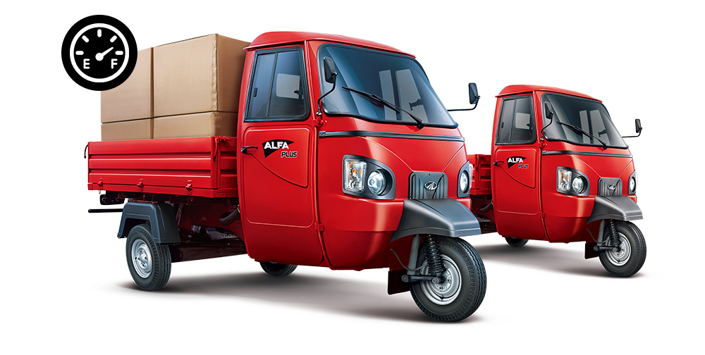 Alfa Plus Cargo photo